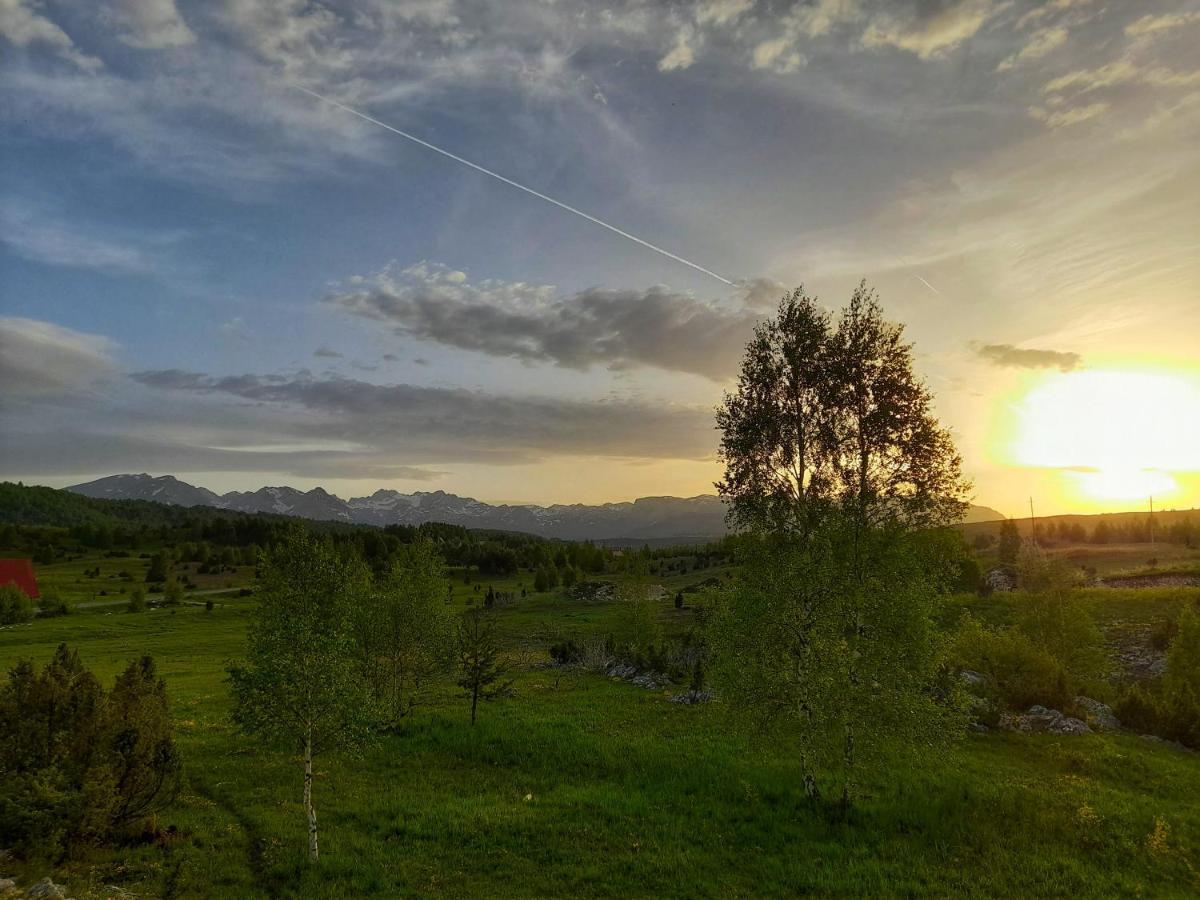Apartment Breza Zabljak (Zabljak)